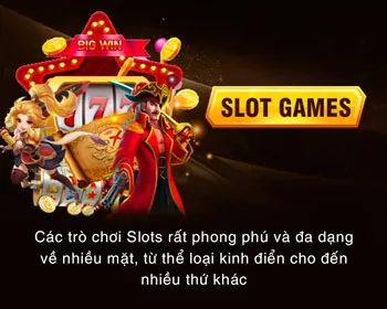 Hệ thống thanh toán nn88v